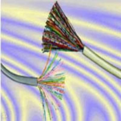 CPEV-S绞式通信电缆